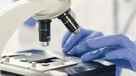 Un gran avance en la lucha contra el cáncer